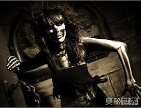 恐怖邻居,揭秘恐怖邻居的惊悚真相