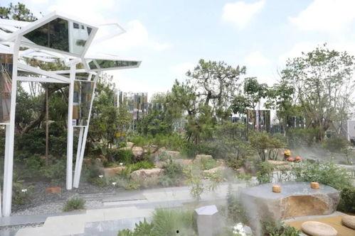 花园之边缘,花园边缘的宁静与繁华