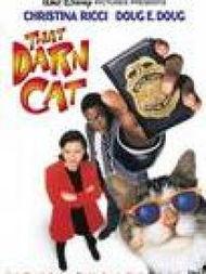 酷猫妙探,揭秘神秘案件，智慧与勇气的完美结合